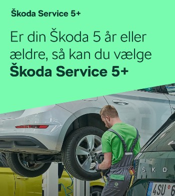  5+ Service kampagne